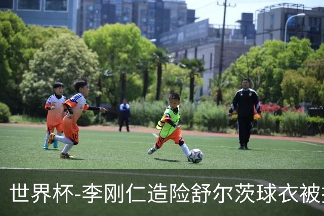 世界杯-李刚仁造险舒尔茨球衣被撕烂 半场韩国0-0捷克